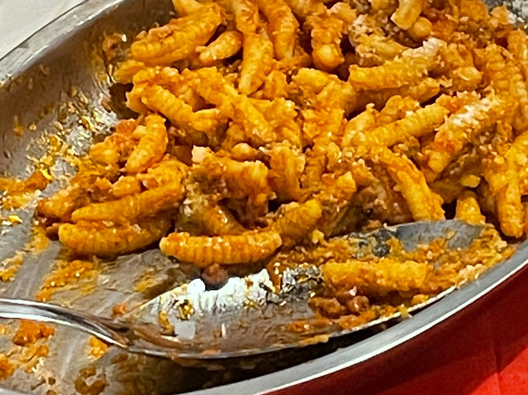 Agriturismo La Fillirea主图