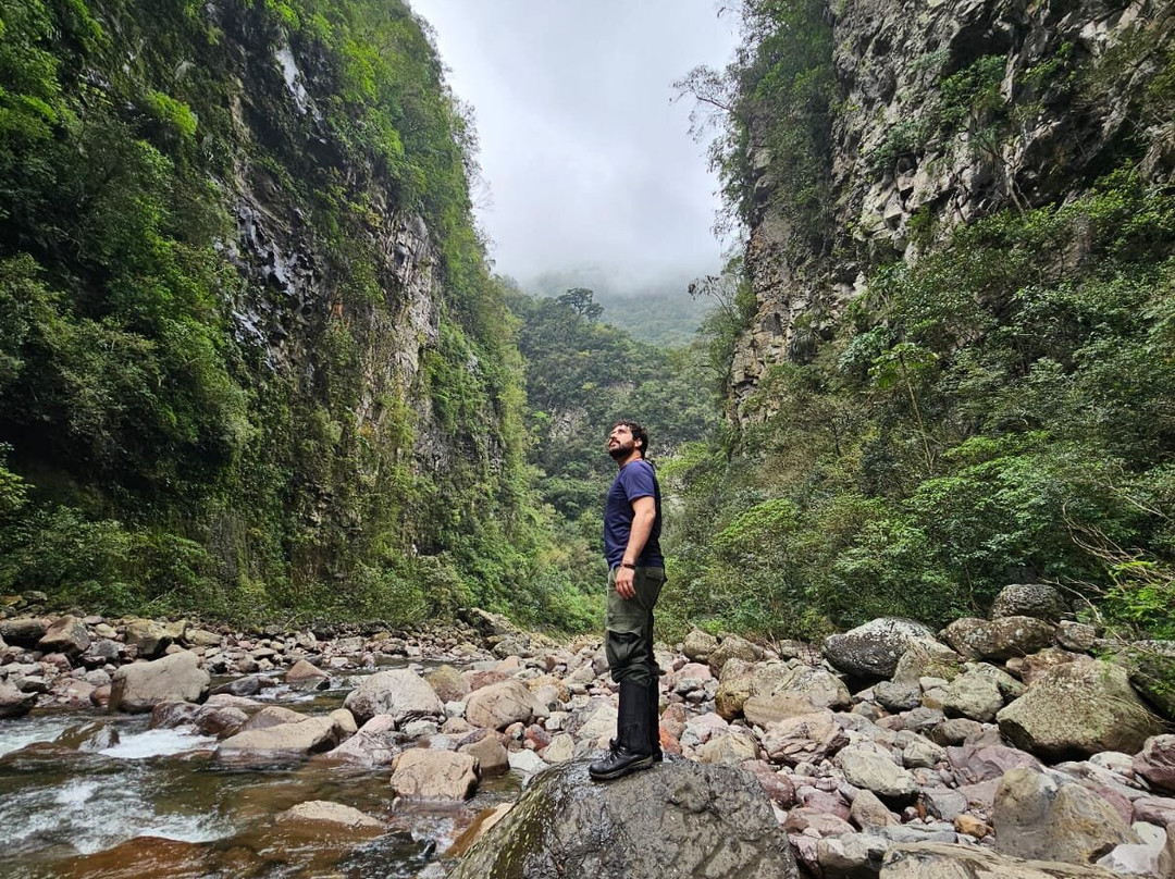 Guia Cristiano Raupp