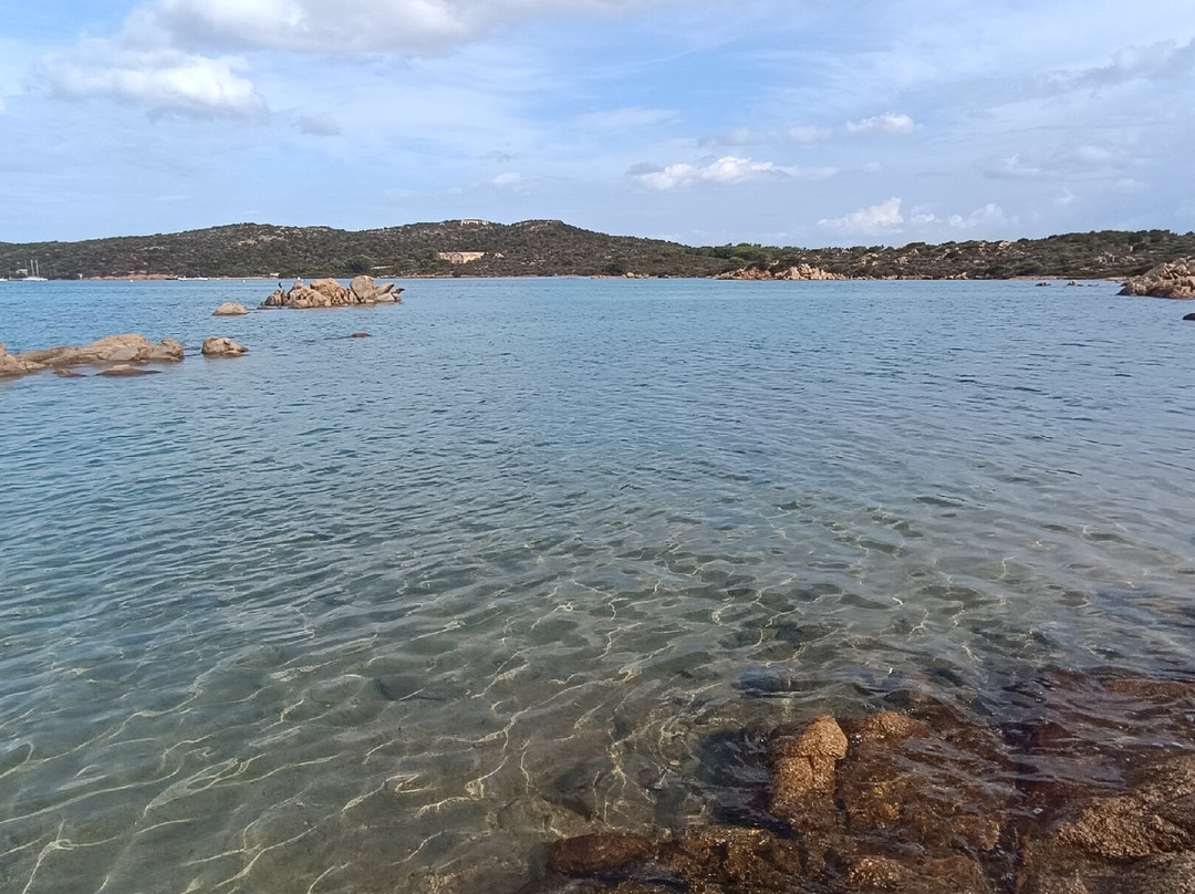Spiaggia per Cani Doggie Beach di Caprera-Caprera必去景点