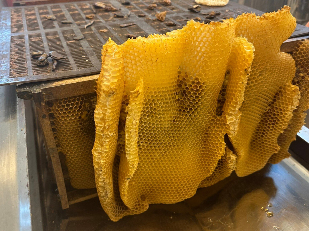 Corfu Beekeeping Vasilakis-Vatos必去景点