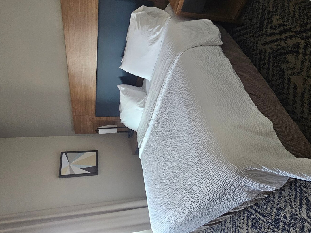 俄克拉荷马城摩尔烛木套房酒店主图