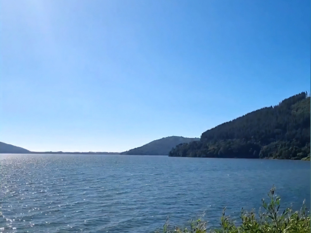 Lago Lanalhue-Contulmo必去景点