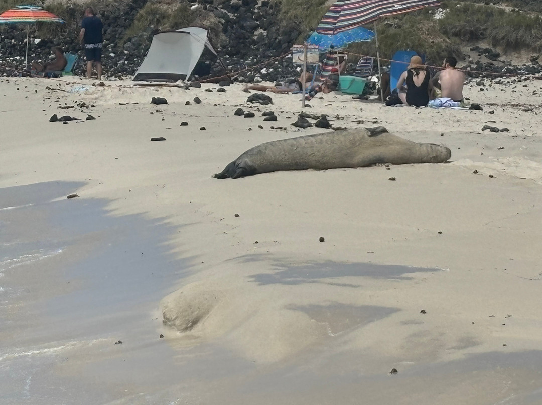 马尼尼欧瓦丽海滩-凯鲁瓦-柯纳必去景点