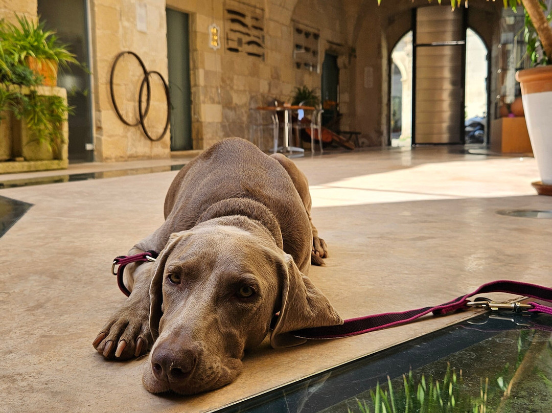 科尔特迪法兰切西酒店主图