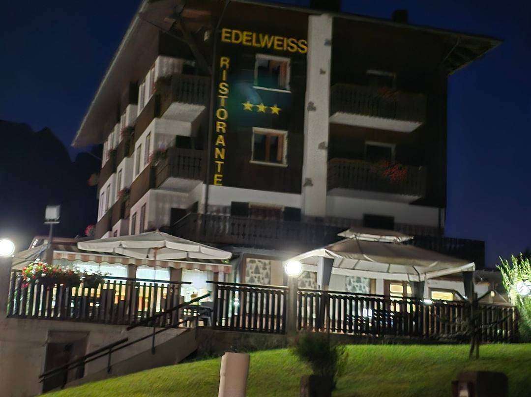 Hotel Edelweiss主图