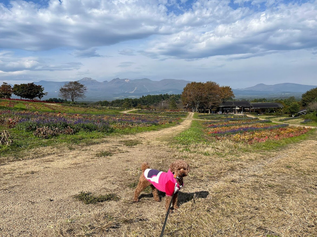 Nasu Flower World-那须町必去景点