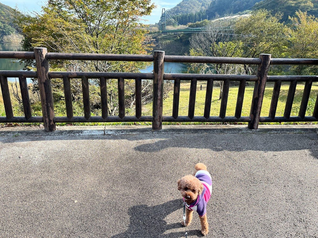 Momijidani Suspension Bridge-那须盐原市必去景点