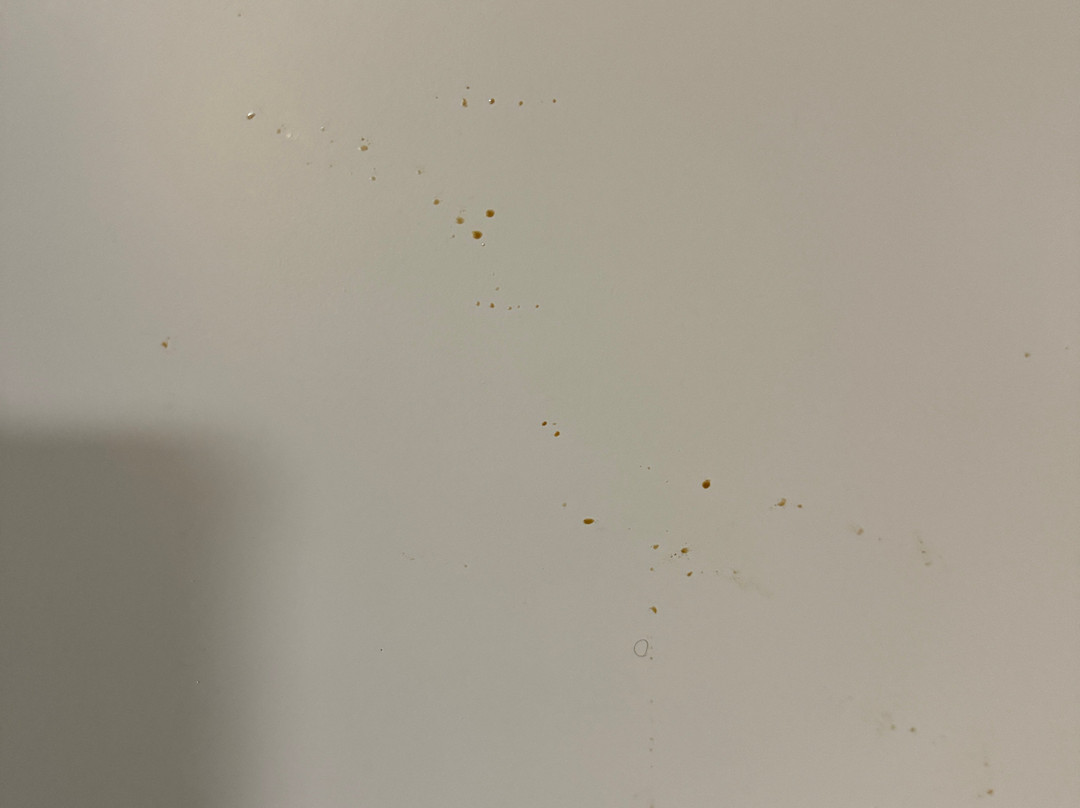 底特律-利沃尼亚/诺维希尔顿合博套房酒店主图