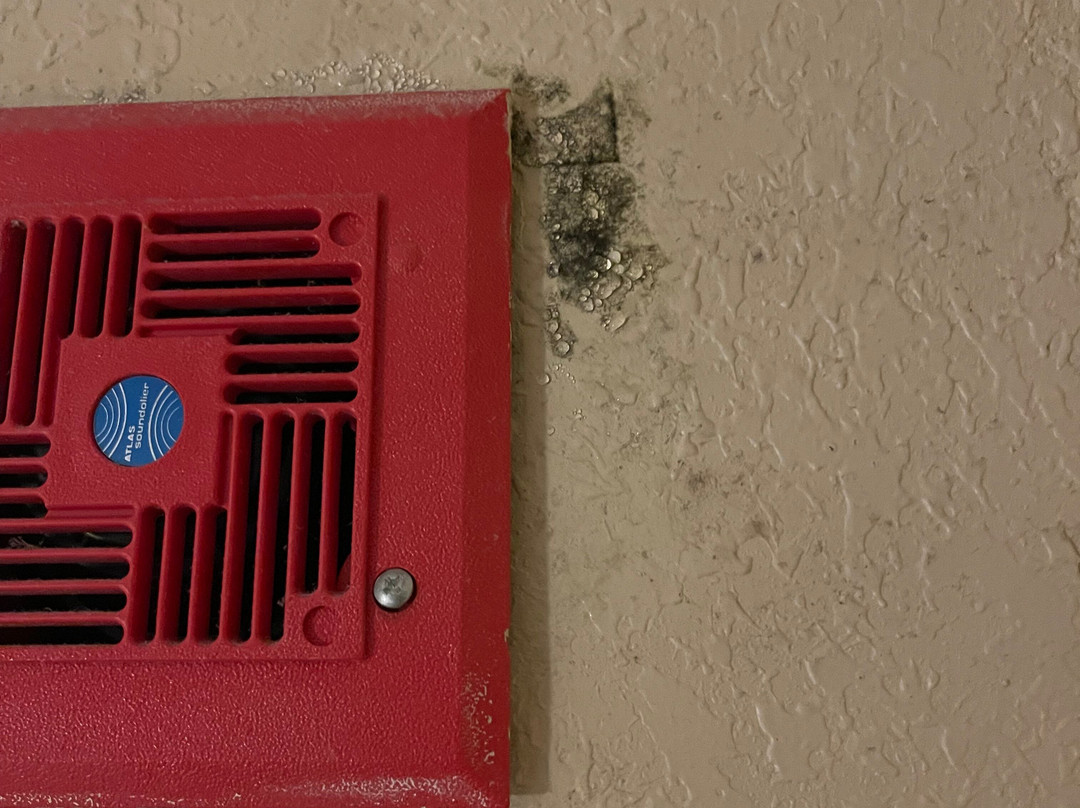 奥兰多市区希尔顿双树酒店主图