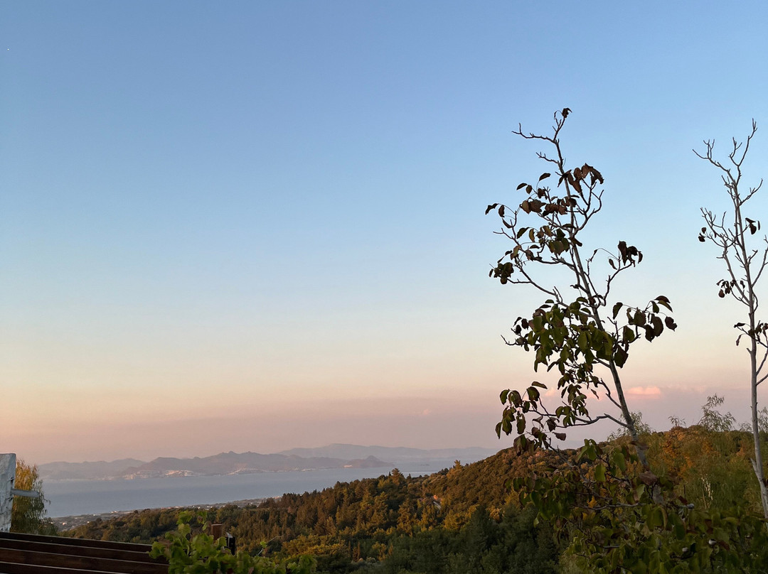 Paradise Ranch Kos Mountain Horse Riding-Asfendiou必去景点