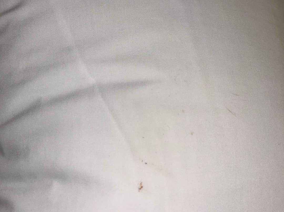 Holiday Inn & Suites Lima By IHG主图