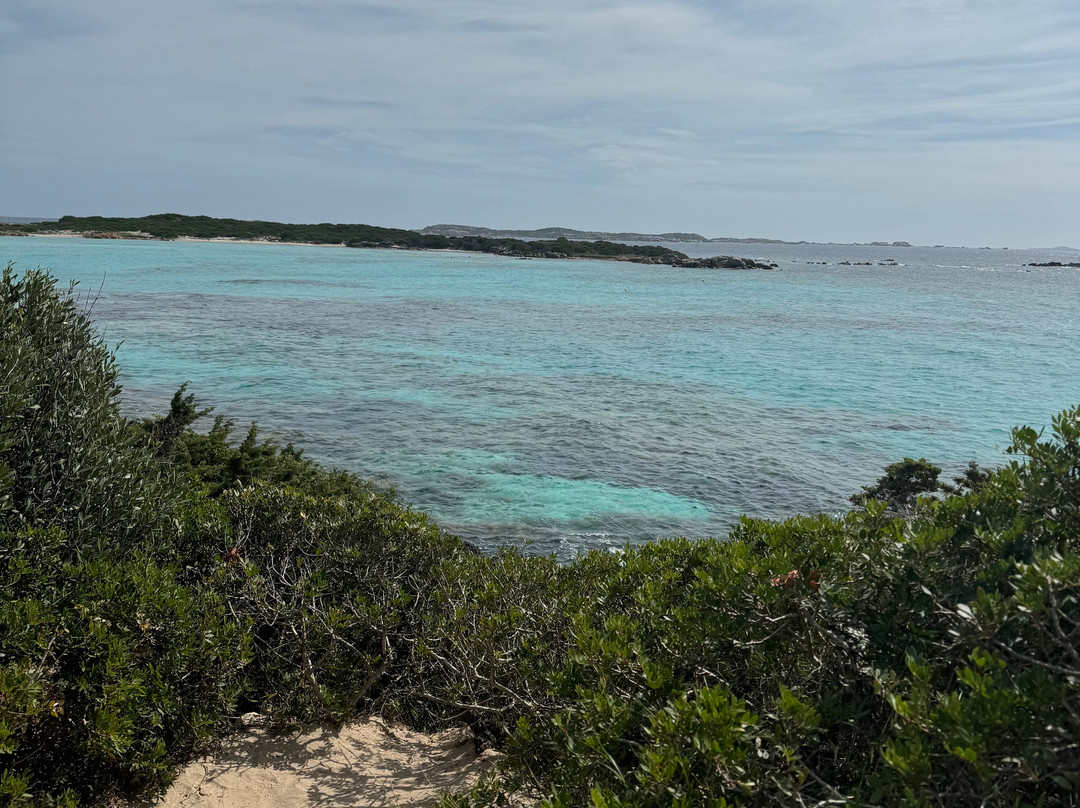 Plage du Petit Sperone景点图片