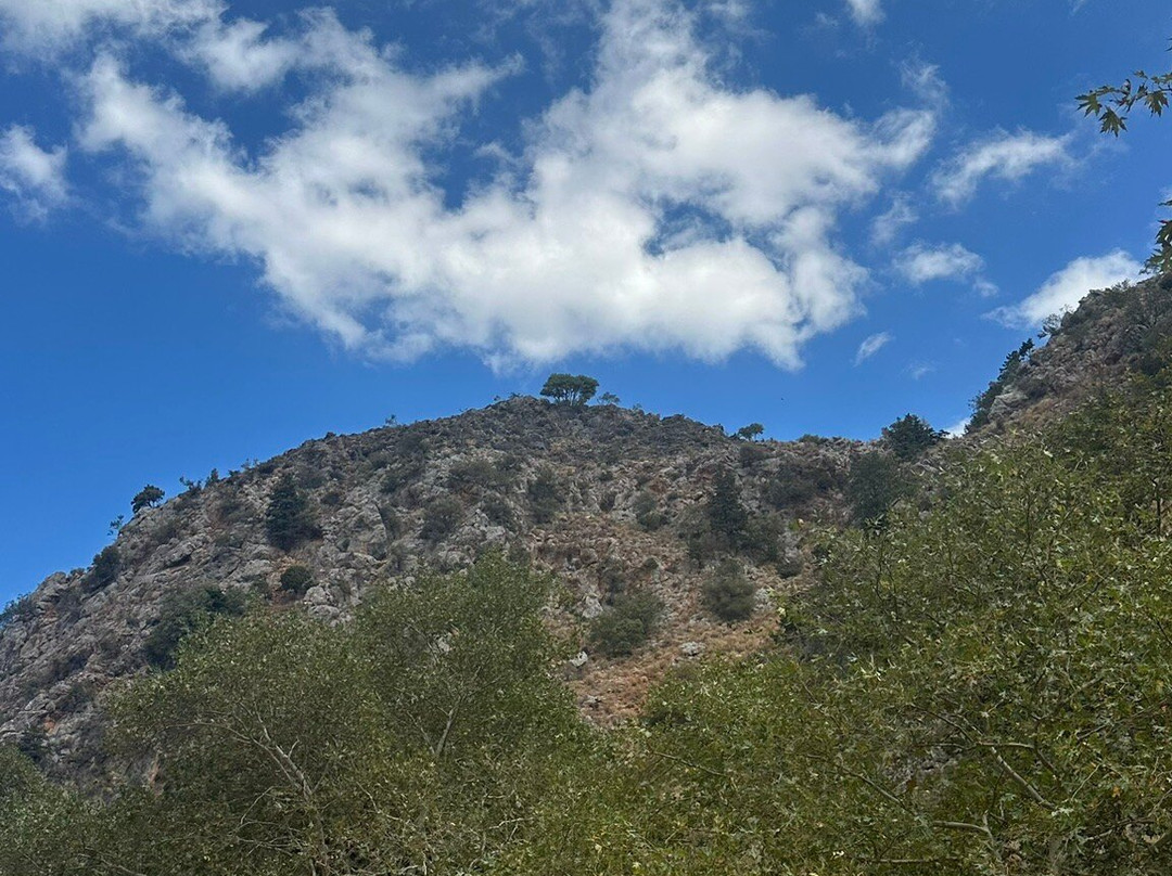 Gorges of Theriso景点图片