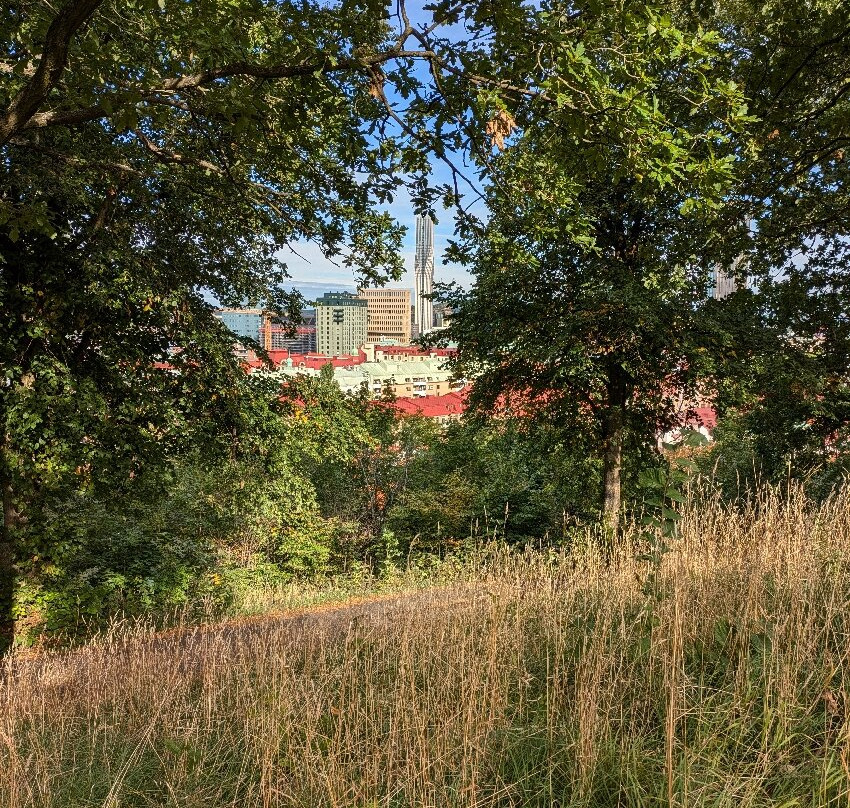 Skansen Kronan-哥德堡必去景点