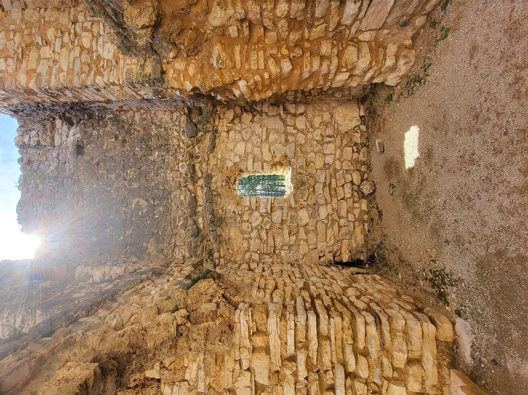 Church of Holy Salvation景点图片
