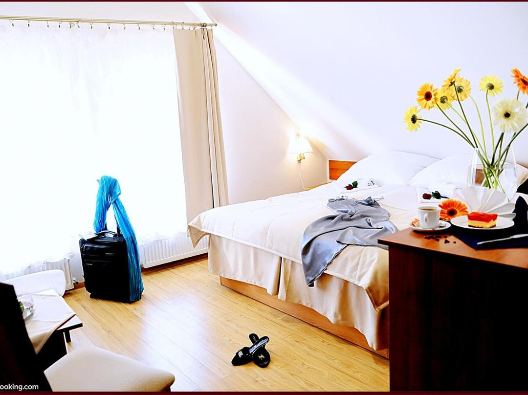 Apartamenty Pod Lwem主图
