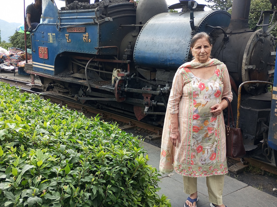 Hotel Zambala Retreat And Spa Darjeeling By Djd Group Of Hotel主图