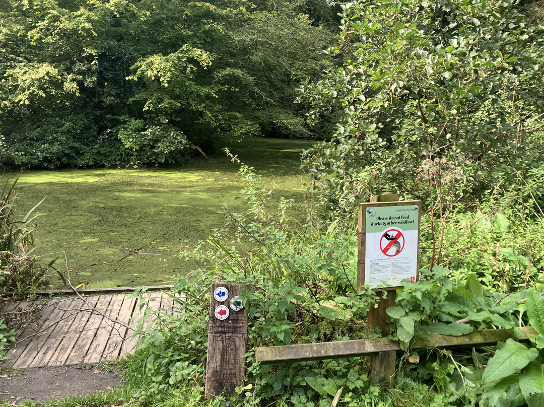 Brockhill Country Park景点图片