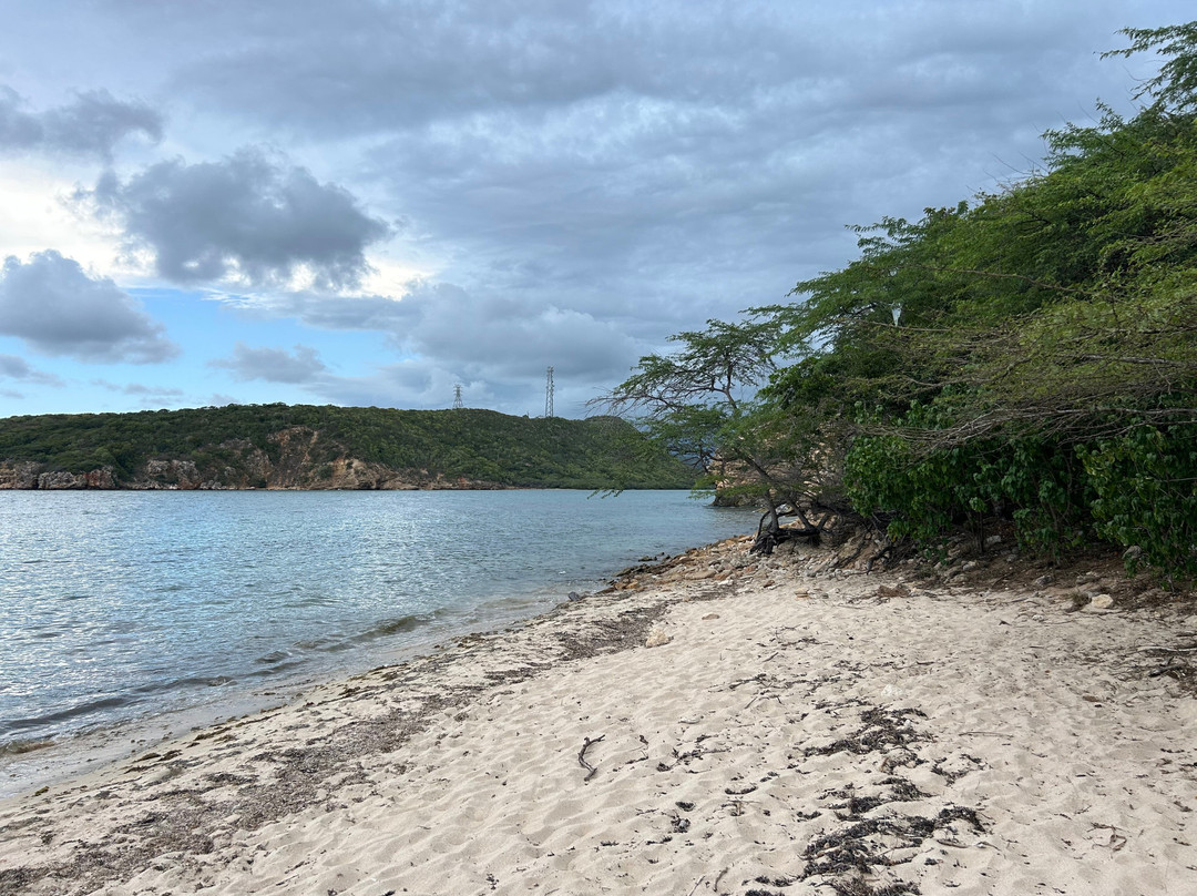 Playa Jaboncillo-Guanica必去景点