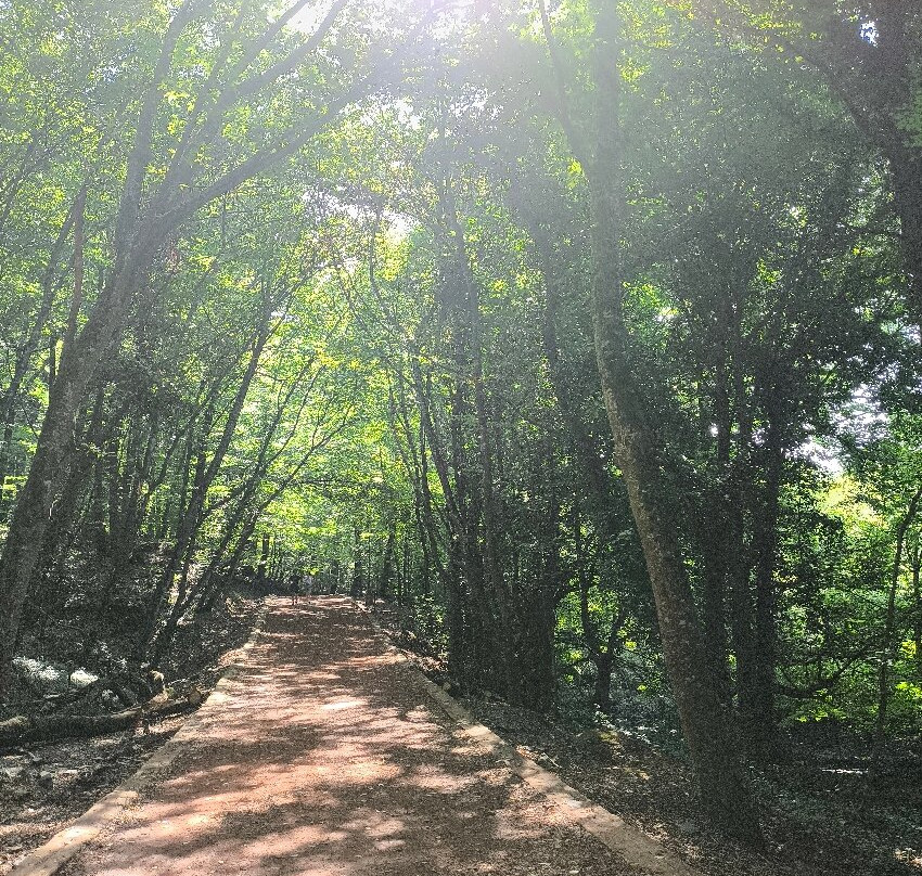 Belgrad Forest-伊斯坦布尔必去景点