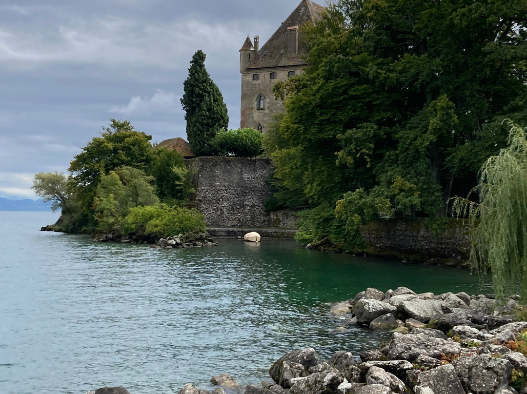 Château d'Yvoire景点图片