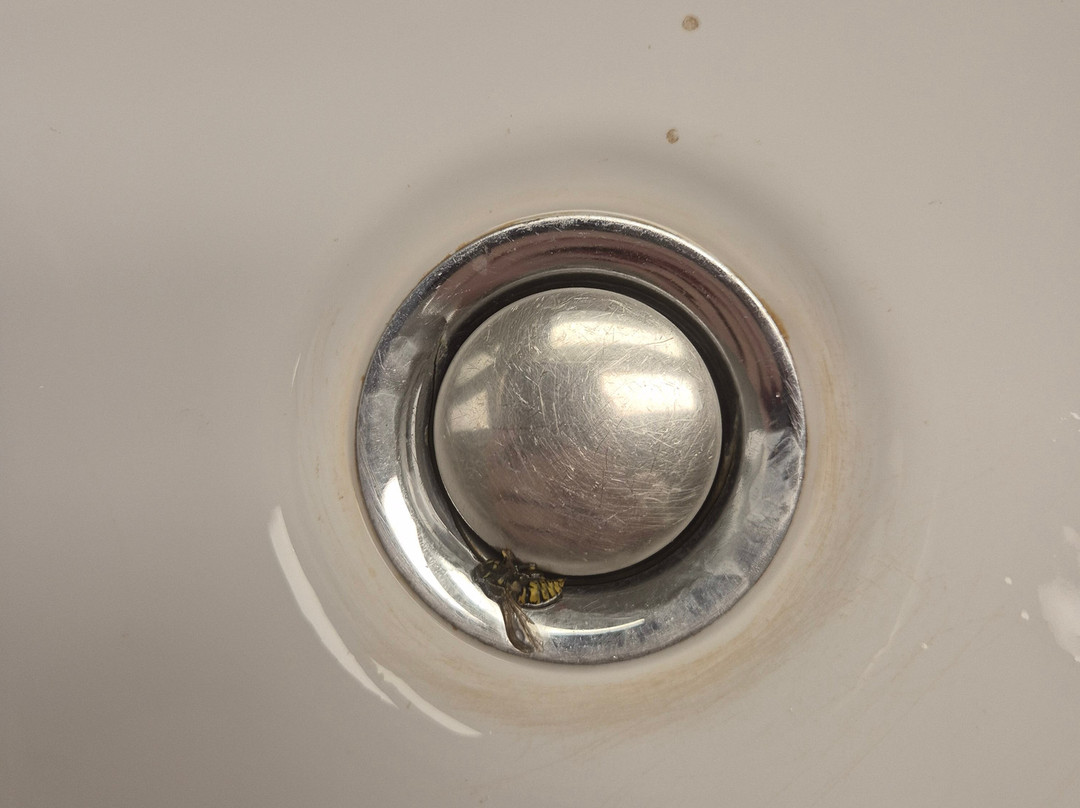 科隆波恩机场假日酒店主图