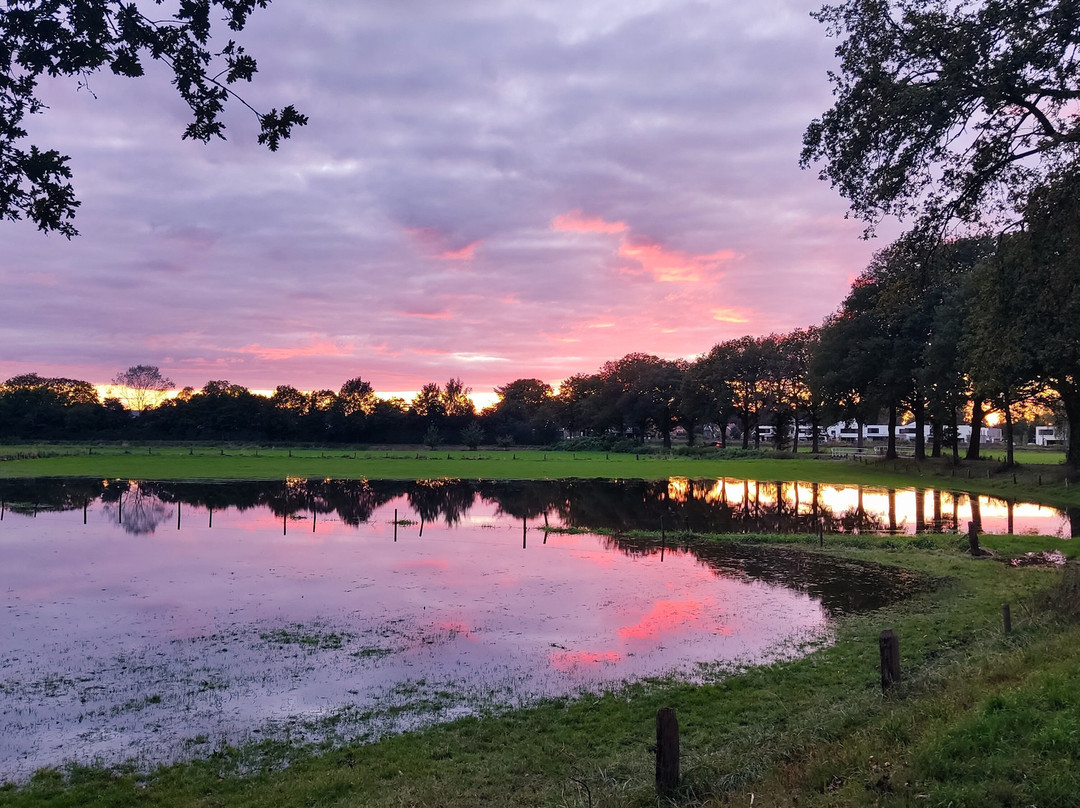 Erve Iemhorst