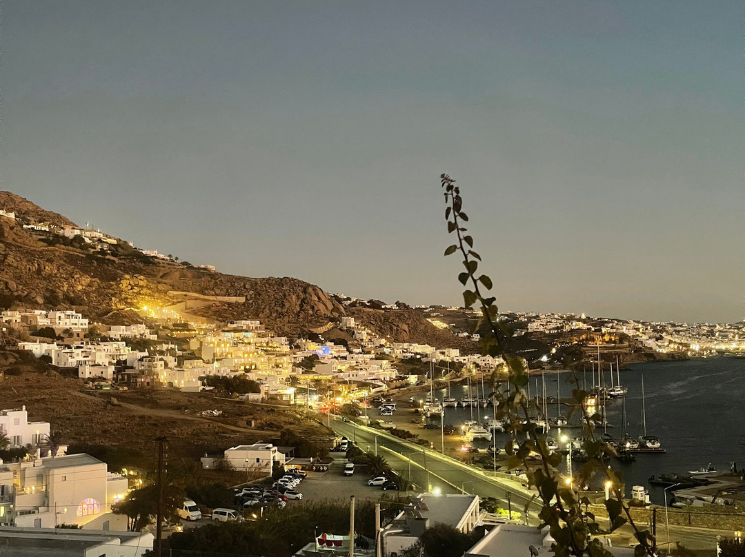 Hotel Paradision主图