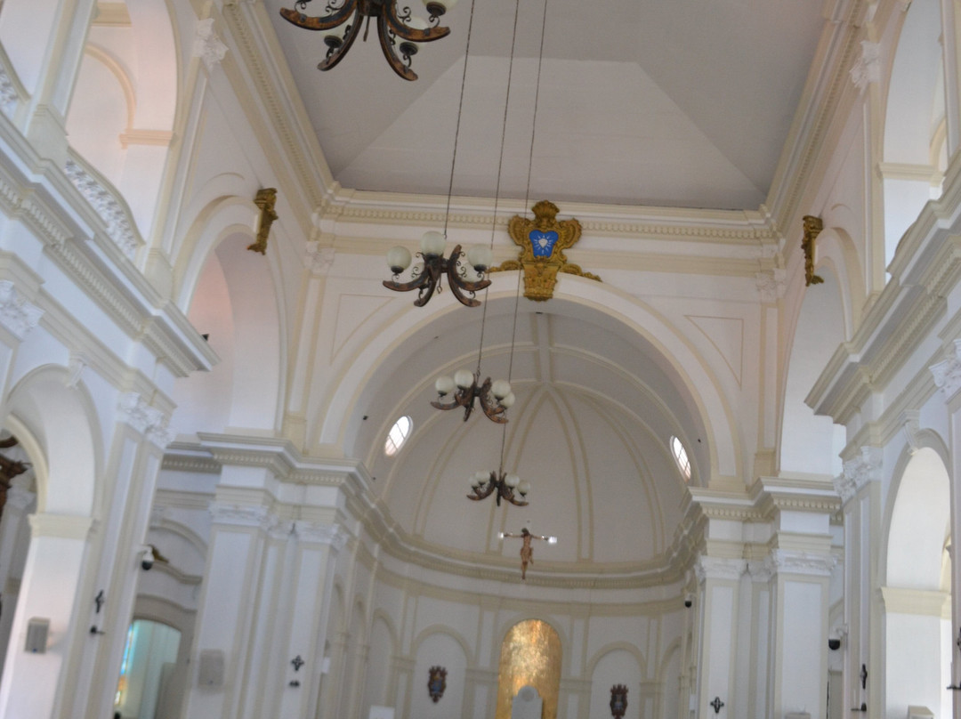 Catedral Metropolitana de Santo Antonio da Se景点图片