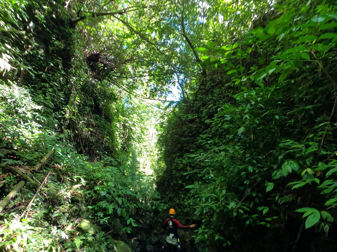 Adrenaline Rush Bali-布莱伦必去景点