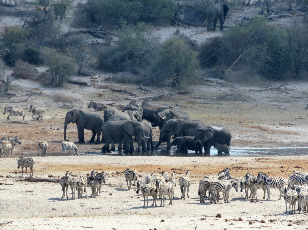 Makgadikgadi Salt Pan景点图片