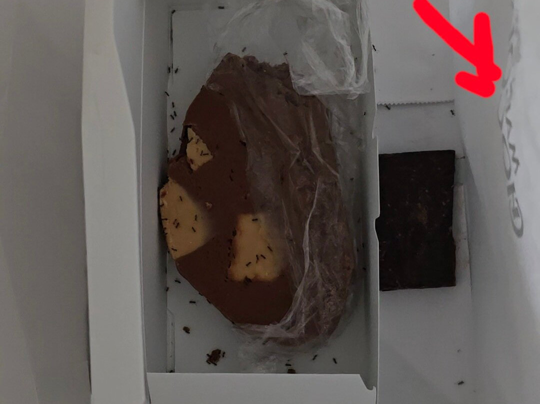 Kingwood Resort主图