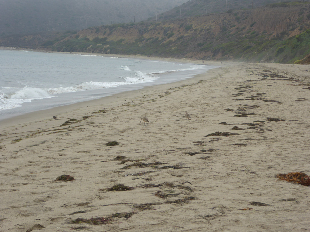 Nicholas Canyon Beach-马里布必去景点