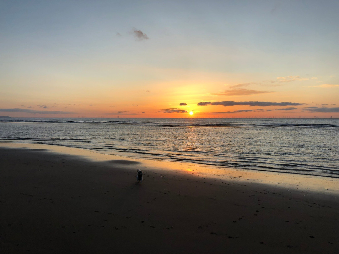 Central Beach景点图片