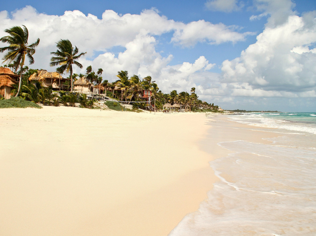 木瓜河岸项目酒店