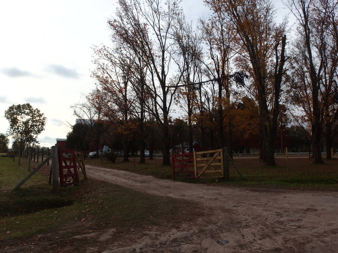 Parque Municipal Mercedes Pcia. de Buenos Aires景点图片