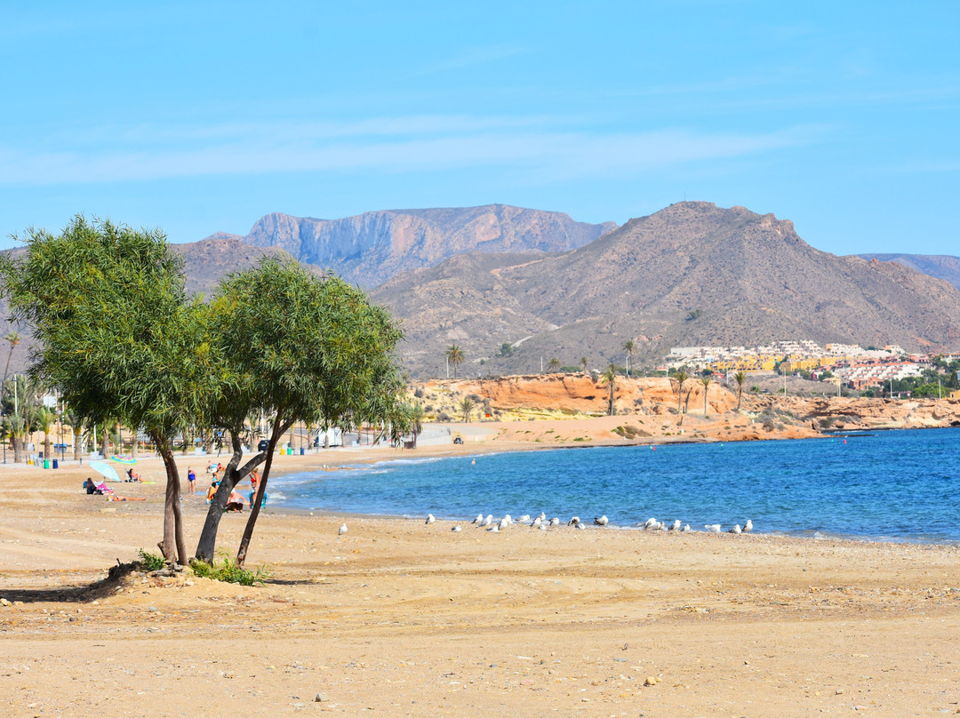 Playa del Alamillo-穆尔西亚马萨龙港必去景点