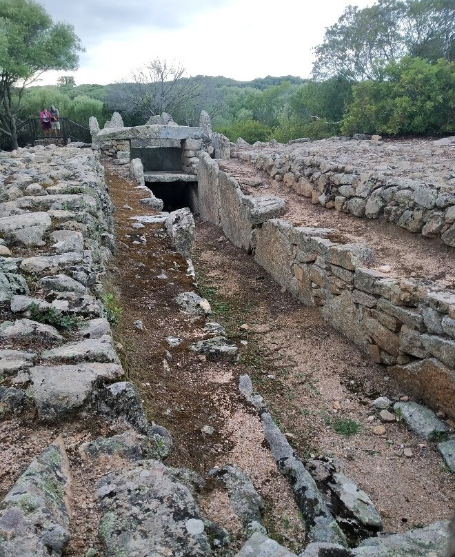 Tomba dei Giganti di Li Lolghi-Arzachena必去景点