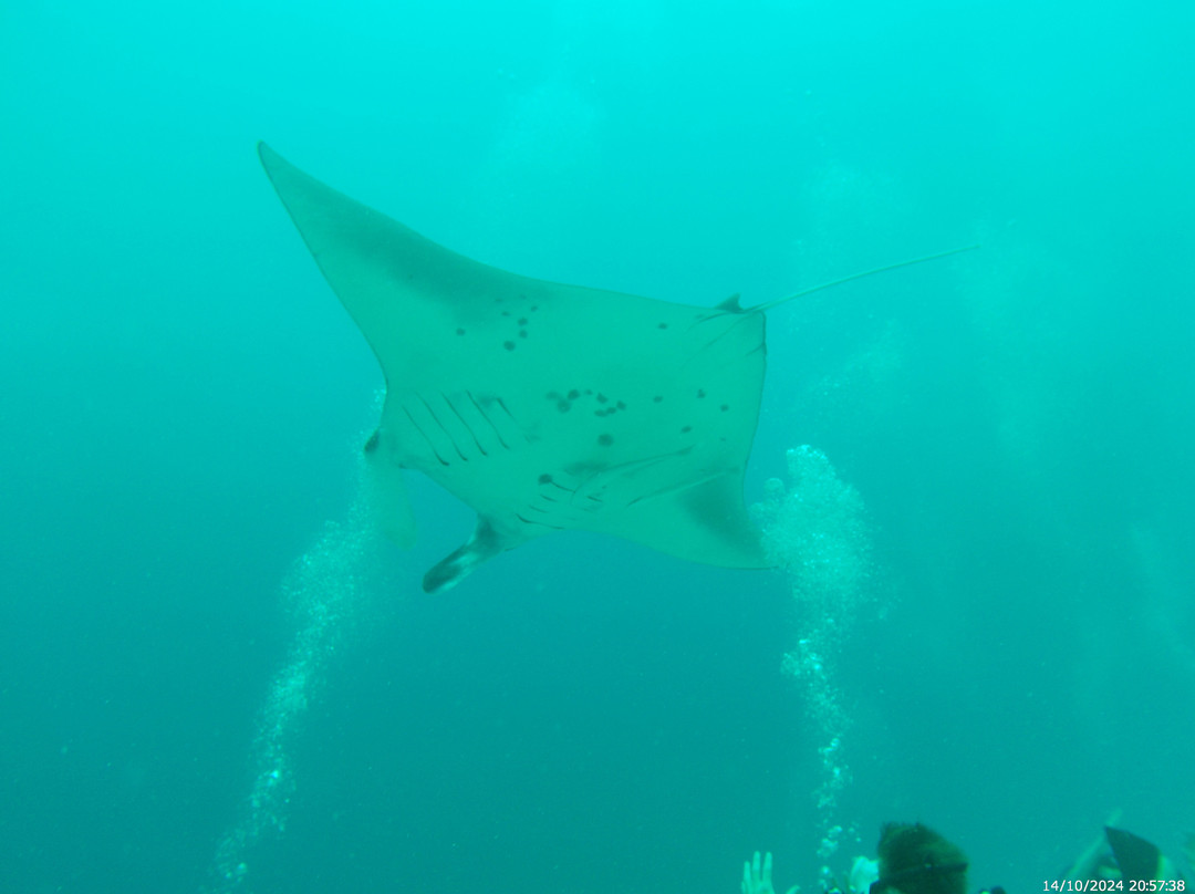 Murakabay Maldives Dive Center景点图片