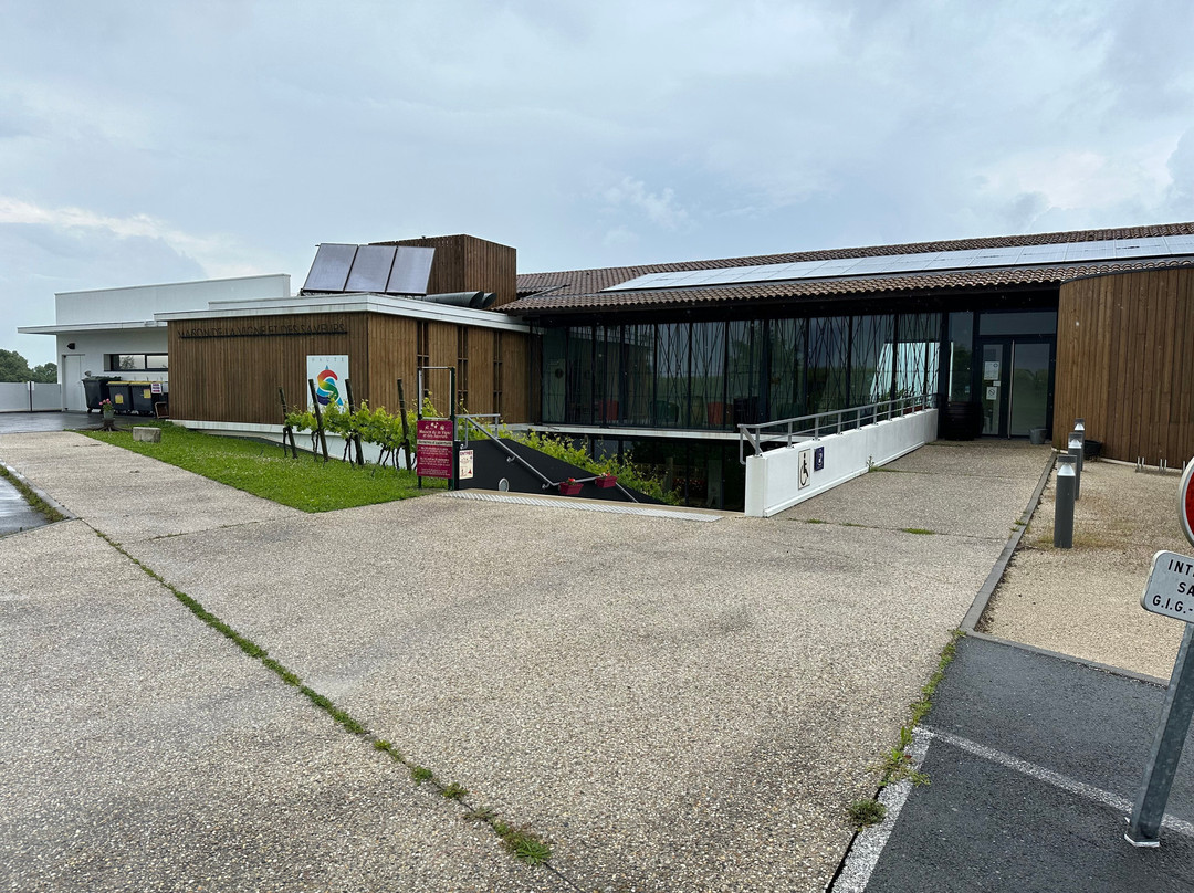 Maison de la Vigne et des Saveurs景点图片