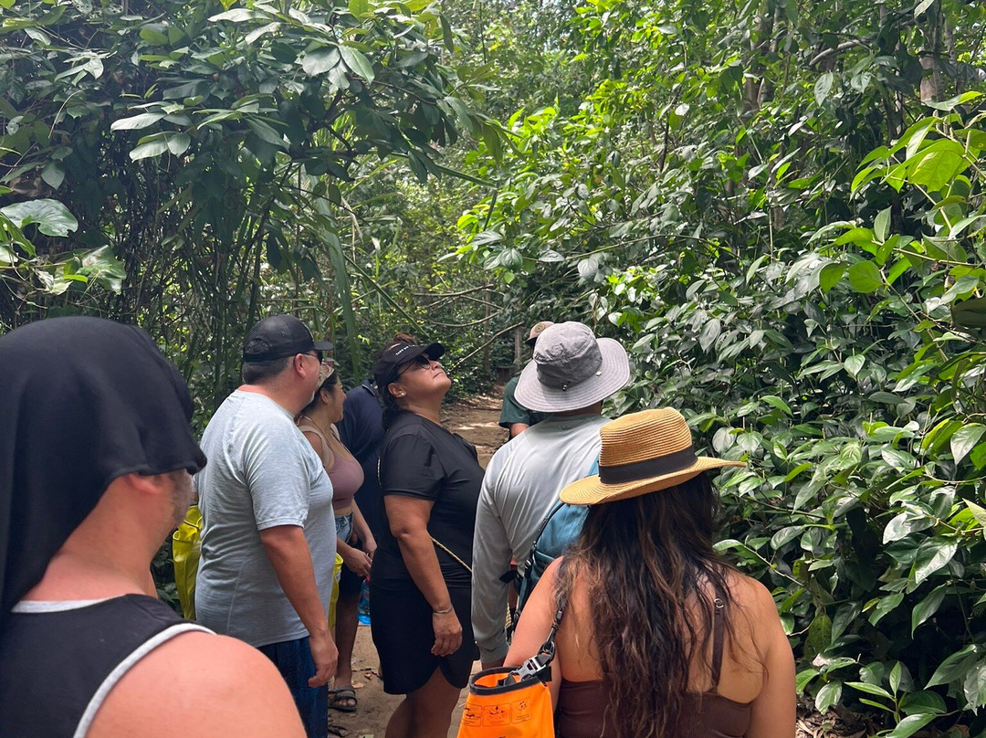 Caribbean Coastering Tours-旧港必去景点