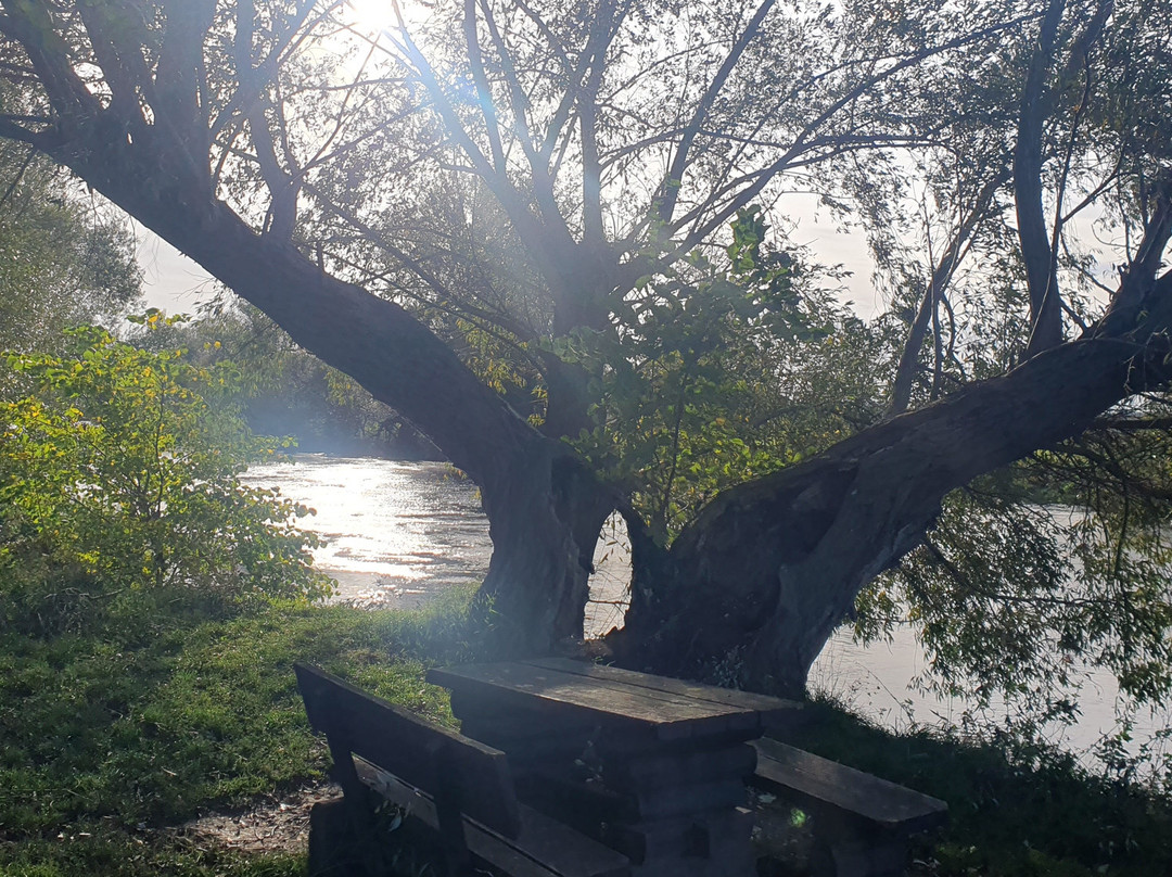 Alter Felsenkeller主图