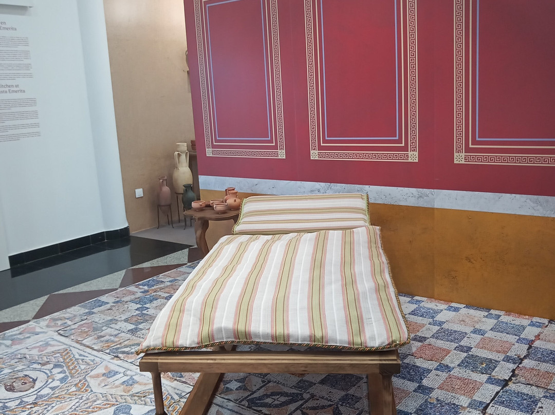Museo Abierto de Merida MAM景点图片