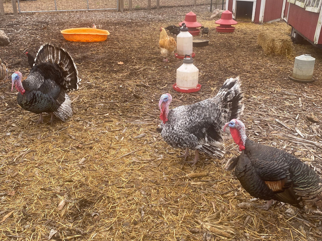 Plymouth Orchard and Cider Mill-普利茅斯必去景点