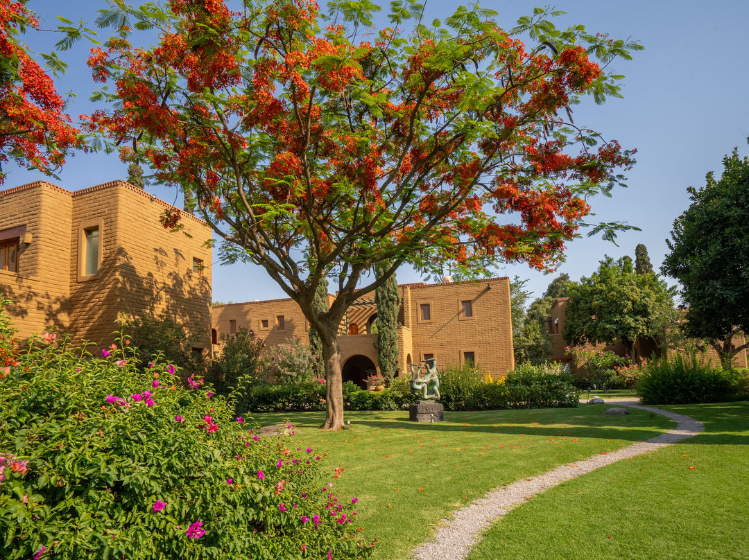 Misión Del Sol Resort & Spa主图