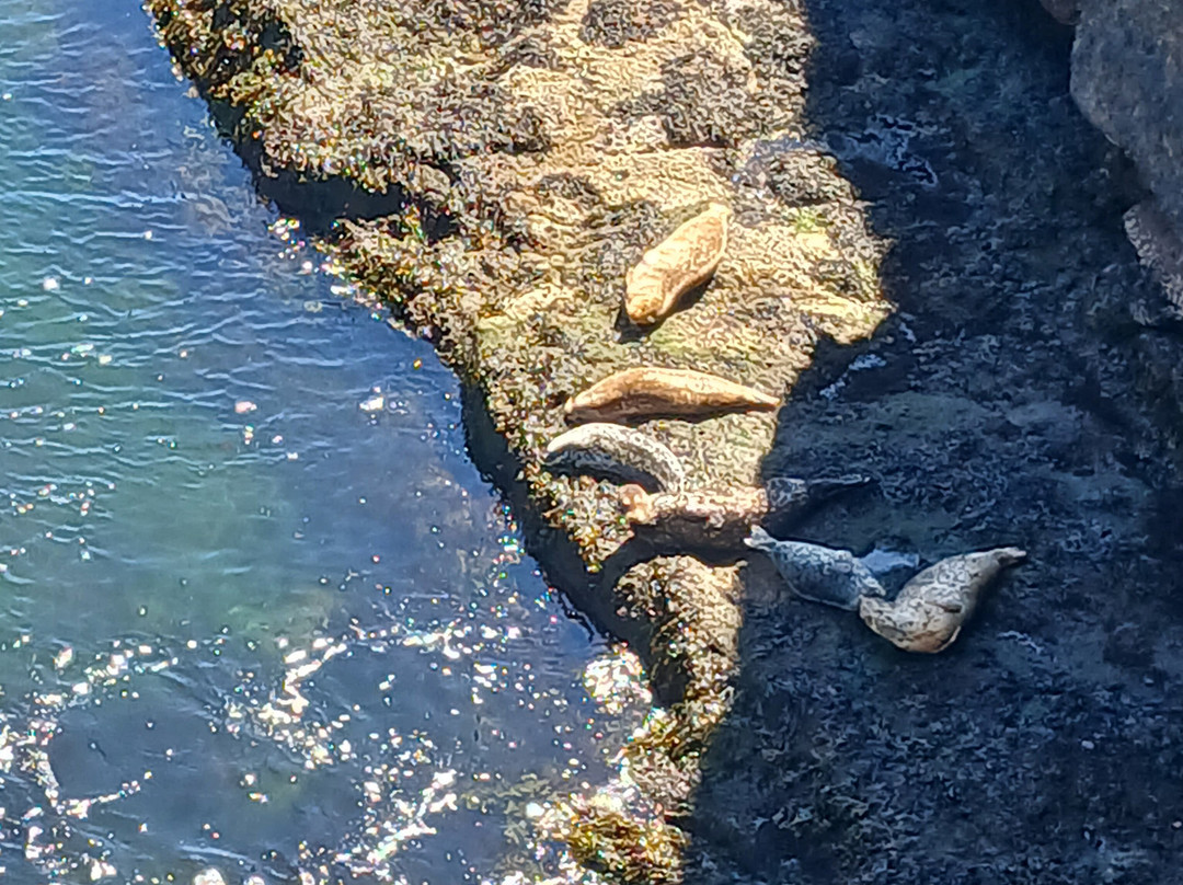 Depoe Bay Bridge-Depoe Bay必去景点