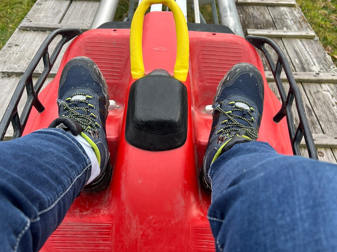 Allgau Coaster景点图片