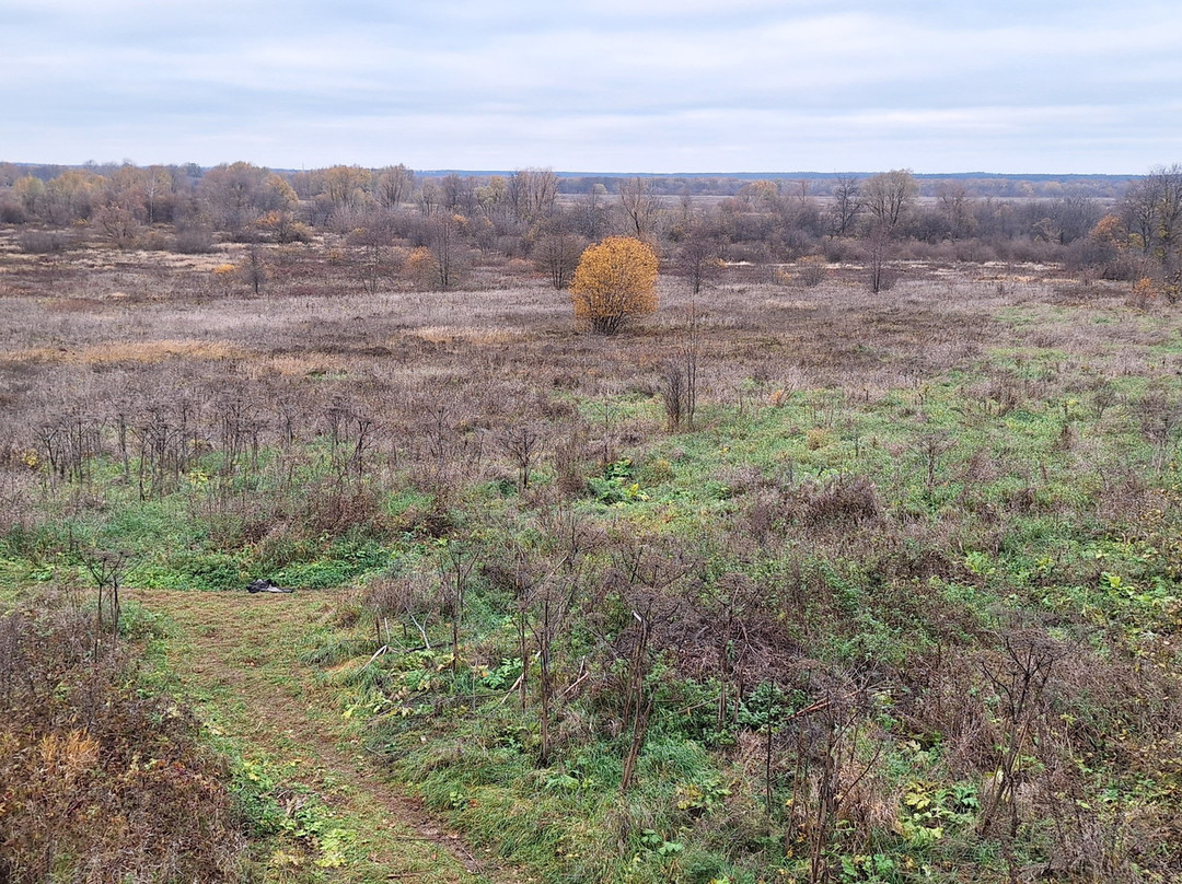 Priklonskiye-Rukavishnikovy Estate景点图片