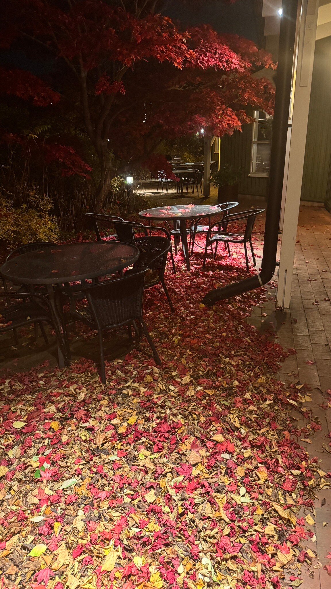 Hesselby Slott-官方