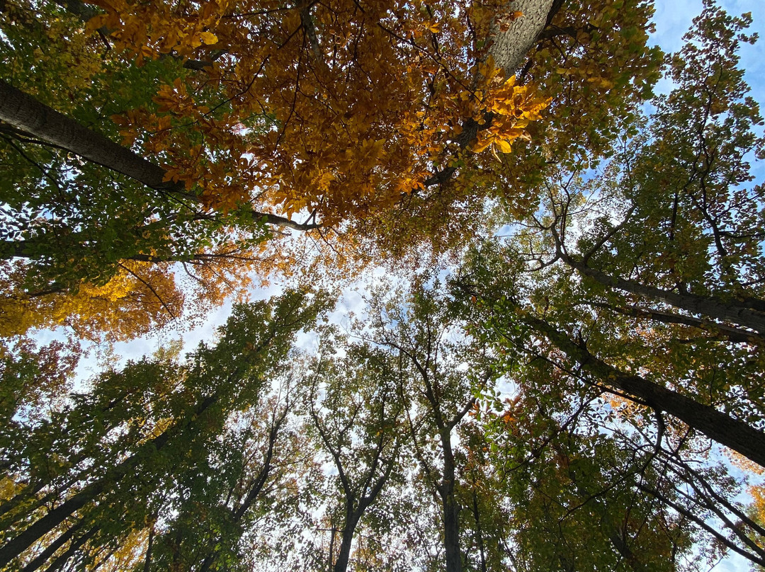 Sky Meadows State Park-Delaplane必去景点